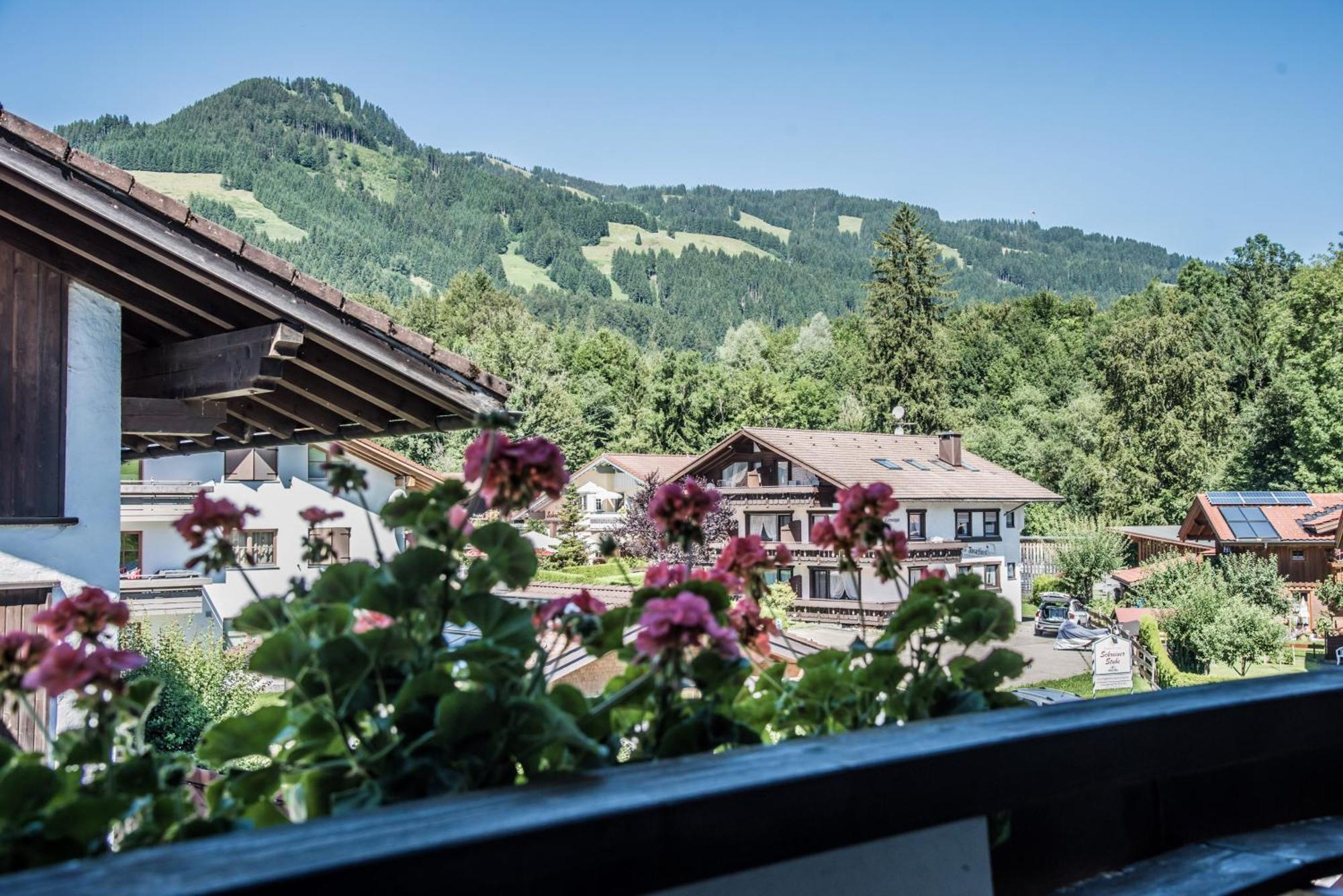 Haus Susanne - Top-Ferienwohnungen - Sommer-Bergbahn Inklusive Obermaiselstein Esterno foto