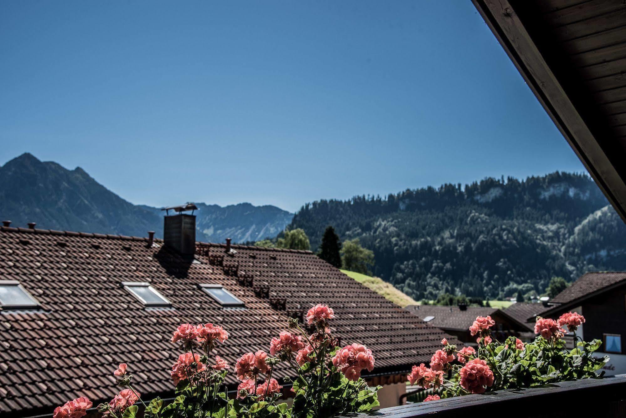 Haus Susanne - Top-Ferienwohnungen - Sommer-Bergbahn Inklusive Obermaiselstein Esterno foto